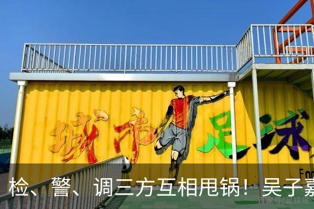 检、警、调三方互相甩锅！吴子嘉上演反击教科书，郑丽文可以效仿