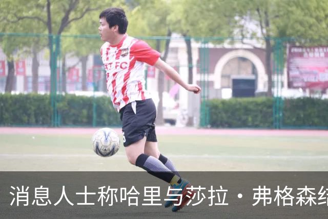 消息人士称哈里与莎拉·弗格森结成"秘密同盟"